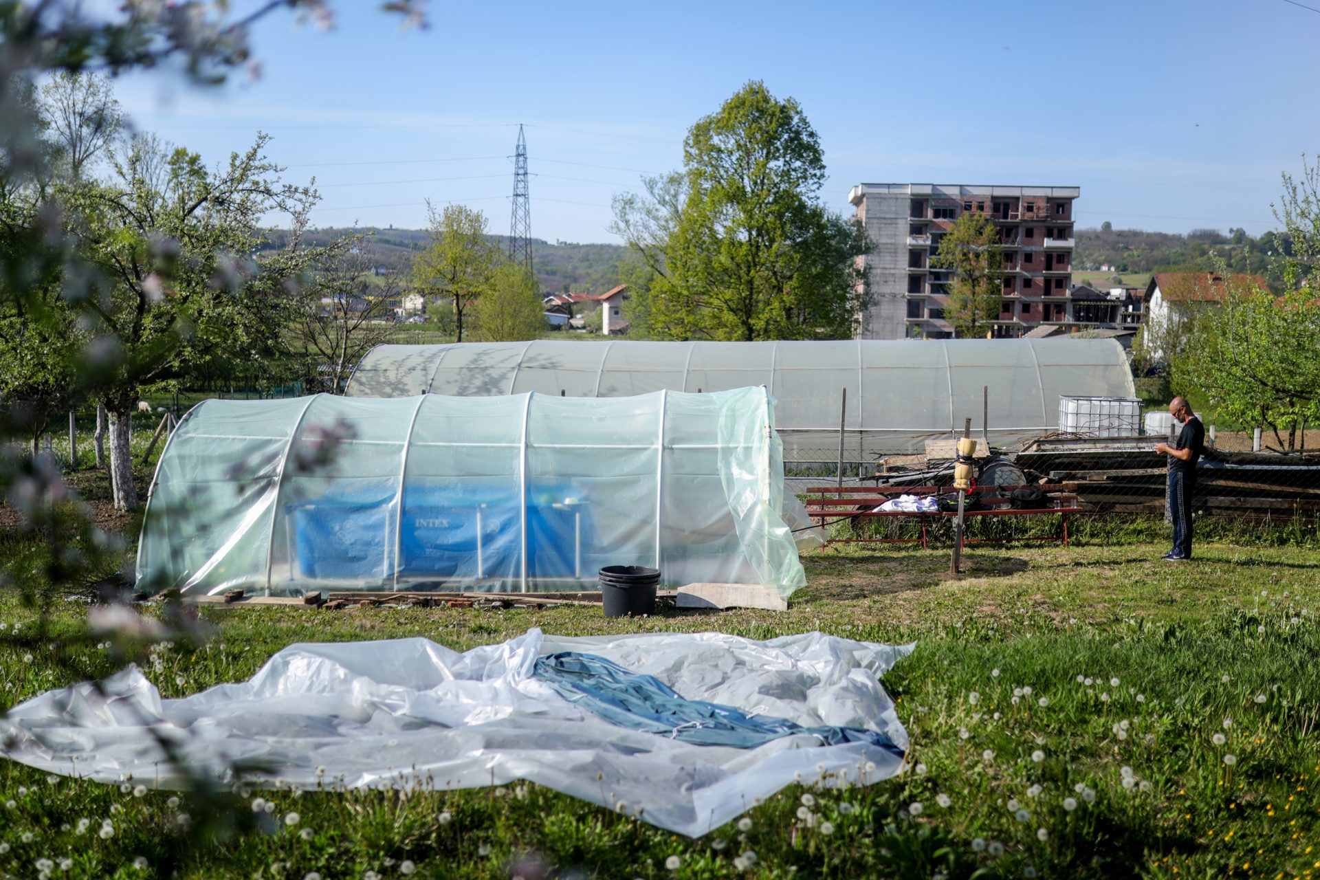 Armin Durgut - Greenhouse Pool - Iman Avdić
