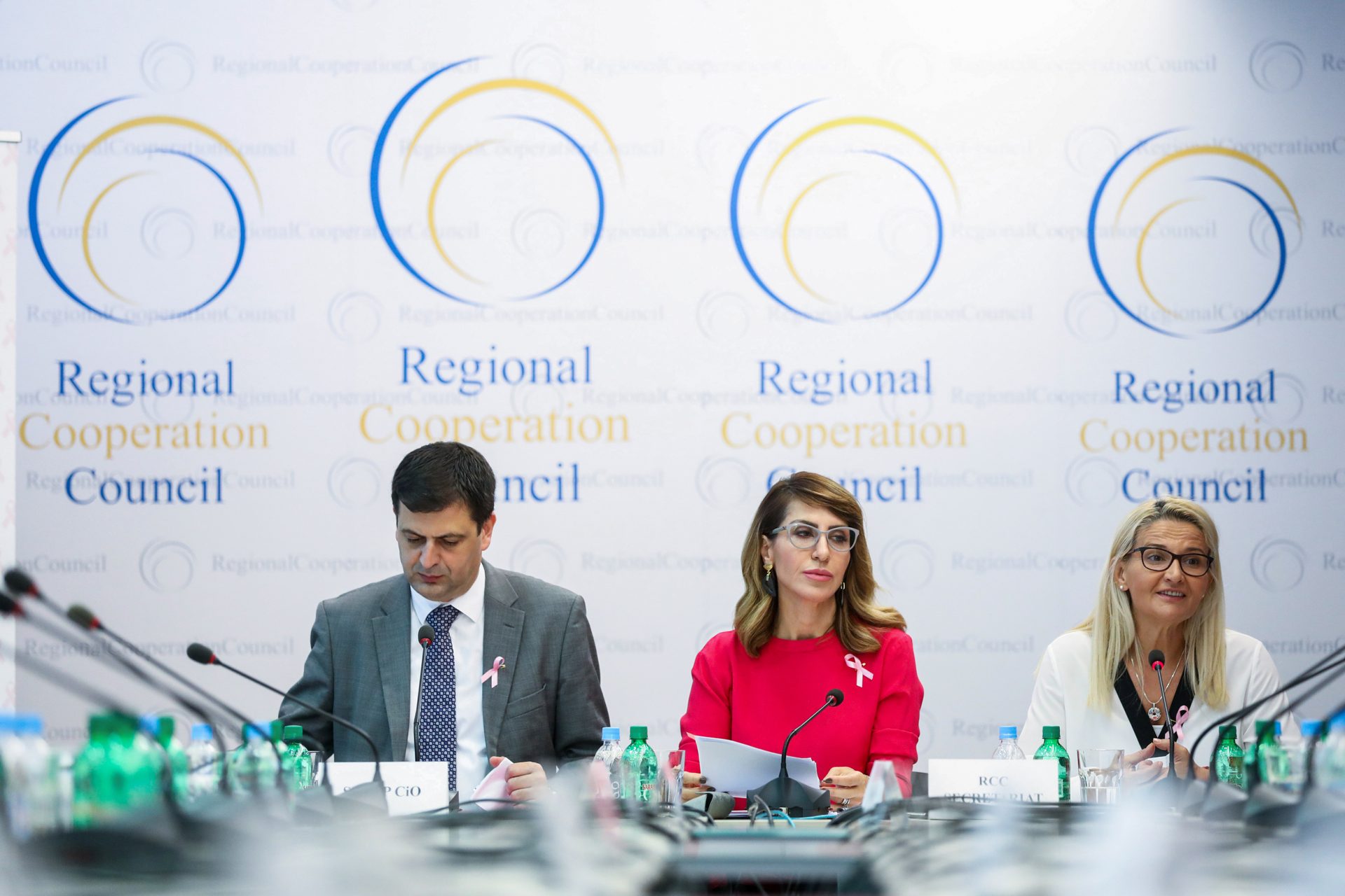 Armin Durgut - RCC Board Meeting