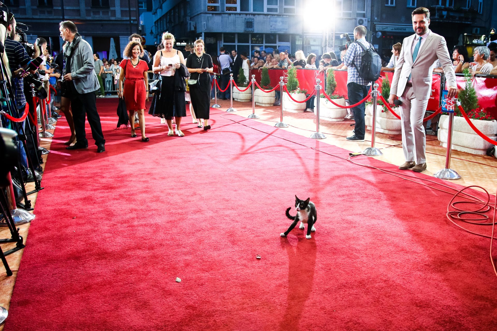 Armin Durgut - Sarajevo Film Festival